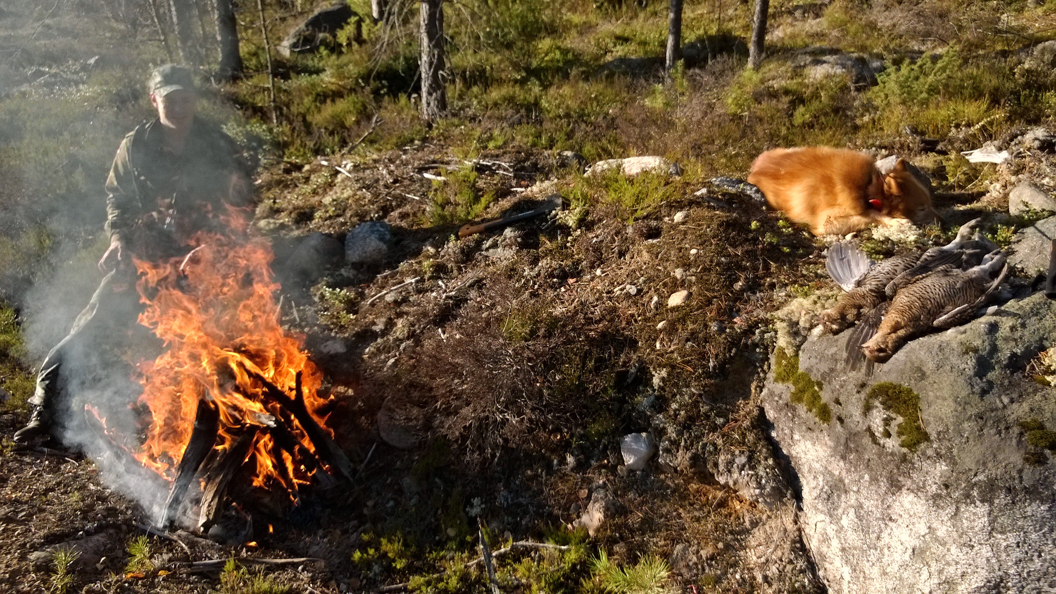 WP_20161005_007 (2).jpg