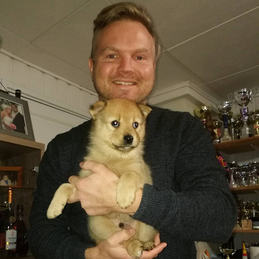 Joiku Mikael Kukkonen suomenpystykorvan pentu susivahinko metsästys erältä ja elämästä blogi